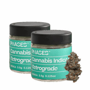PHASES<br> 3.5G FLOWER
