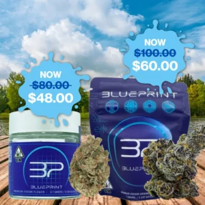 BLUEPRINT<BR> FLOWER